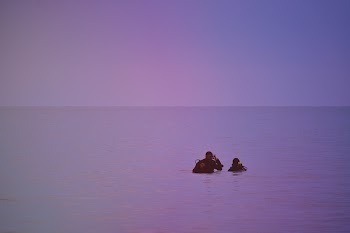 People Swimming In Body Of Water