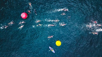 People Swimming on Body of Water