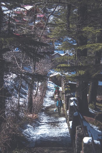 People Walking Along Pathway