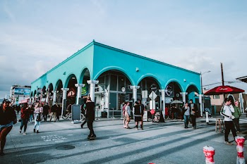 People Walking at the Park