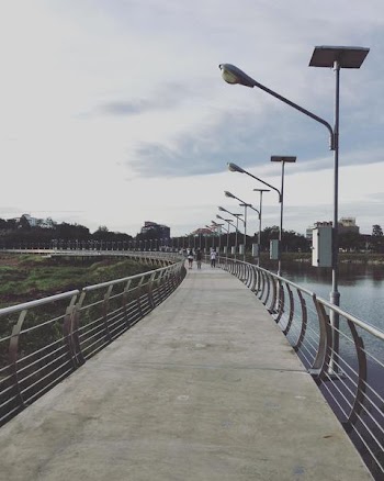 People Walking in Middle of Pathway