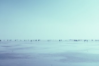 people walking in seashore over the horizon during daytime