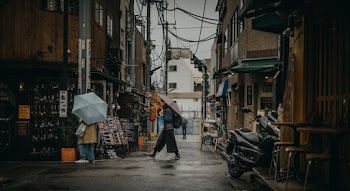 People Walking In the Street With Umbrellas