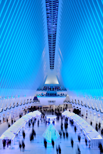 People Walking Inside Building