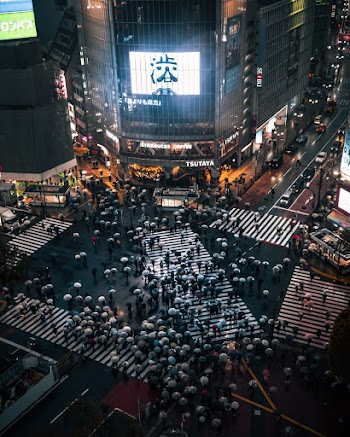 People Walking Near Buildings