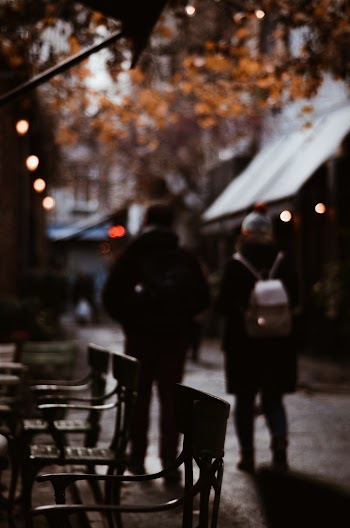 People Walking Near Trees and Houses