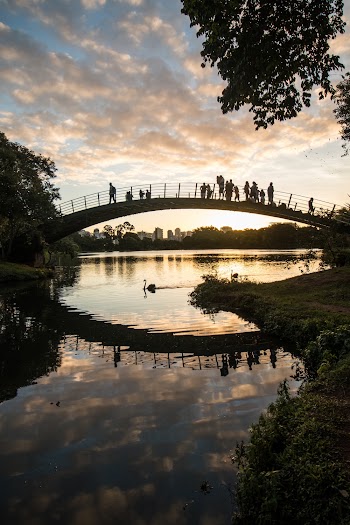 People Walking on Bridge over Body of Water