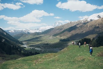 People Walking on Grass Field