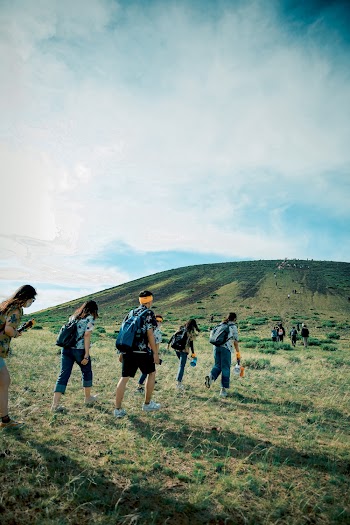 People Walking on Green Grass Field