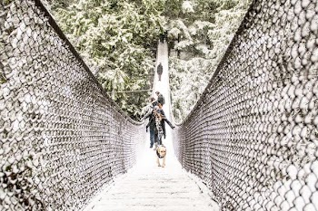 people walking on hanging bridge