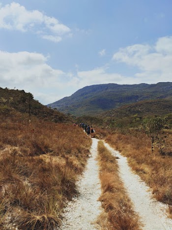 People Walking on Pathway