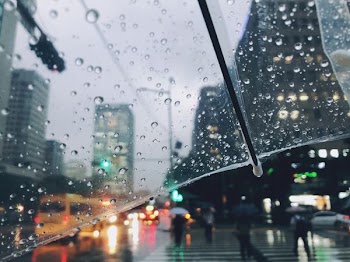people walking on road during rainy day