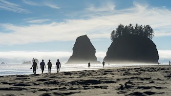 People Walking on Seashore