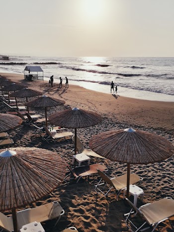 People Walking on Shore during Golden Hour