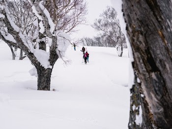 People Walking on Snow
