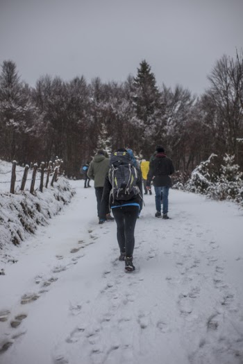 People Walking on Snowy Road during Winter