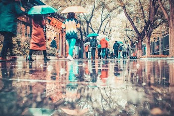 People Walking on Street