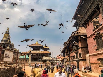 People Walking on Street and Birds Flying
