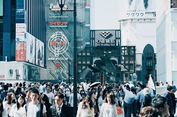 people walking on street during day time