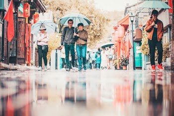 People Walking on Street Holding Umbrellas