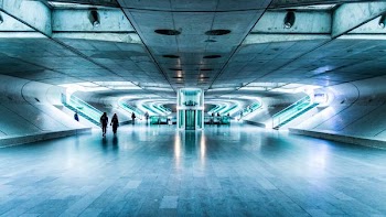 people walking on tunnel