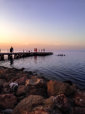 People Walking On Wooden Dock