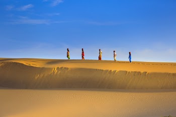 People Walking on Yellow Dessert