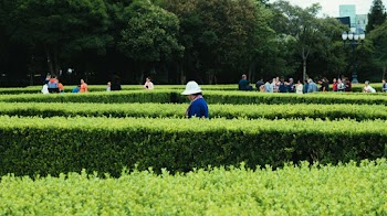 People Walking Outdoors