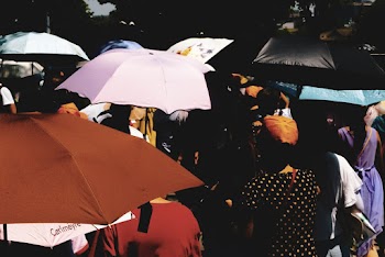People Walking Outside and Using Umbrellas