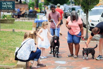 People Walking the Dog