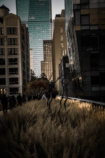 People Walking Towards Building