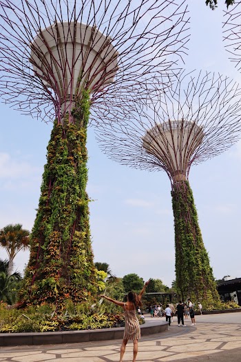 People Walking Under Gardens by the Bay