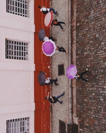 people with umbrella