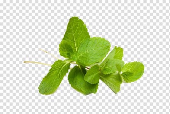 Peppermint Food Herb Diet Vegetable, vegetable transparent background PNG clipart