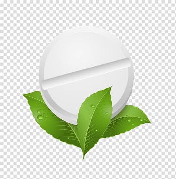 Peppermint Herb Leaf Illustration, White tablet transparent background PNG clipart