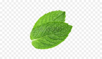 Peppermint Mentha spicata Water Mint Leaf - Pepermint PNG 
