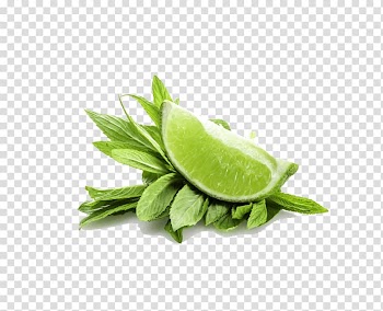 Peppermint Water Mint Mentha spicata Lime, Mint leaves and lemon transparent background PNG clipart