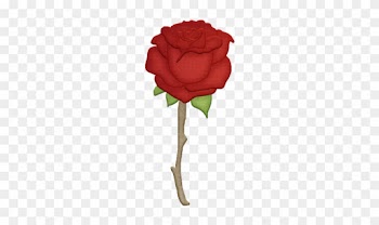 Pequeno Principe - Little Prince Rose