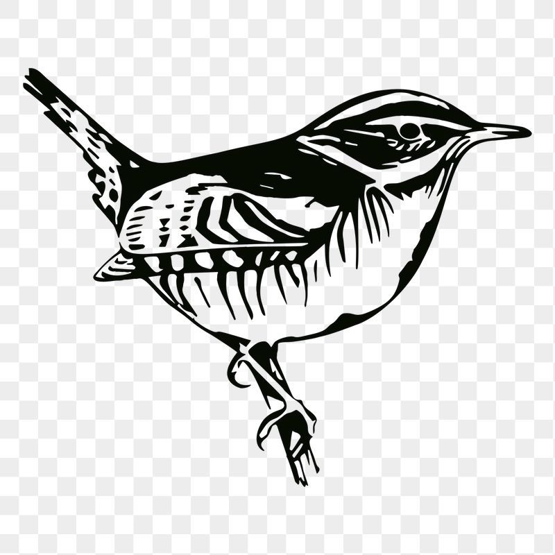 Perched bird png sticker illustration, | Free PNG - rawpixel