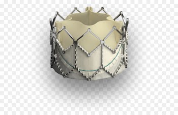 Percutaneous aortic valve replacement Artificial heart valve - heart 