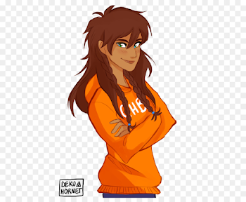 Percy Jackson & the Olympians Annabeth Chase The Heroes of Olympus ...