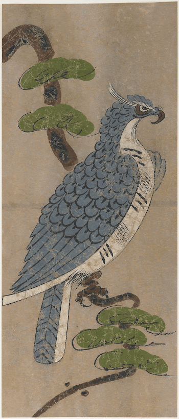 Peregrine Falcon during 18th century | Free Photo - rawpixel