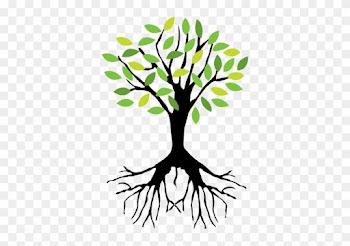 Perfect At Flynns Tree Pros We Always Offer Free Estimates - Tree With Roots Png