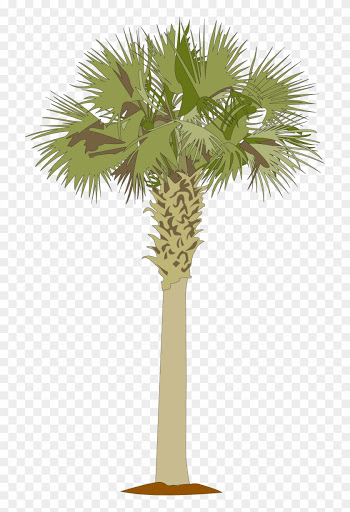 Perfect Palmetto Tree Clip Art Medium Size - Palm Tree Cut Out