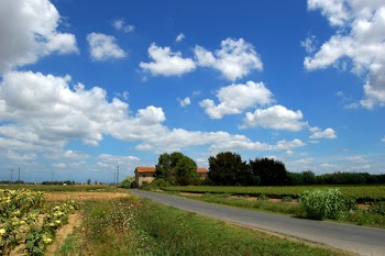 perignano10.jpg
