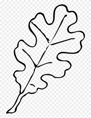 Permalink To Leaf Outline Owl Clipart - Oak Tree Leaf Drawing
