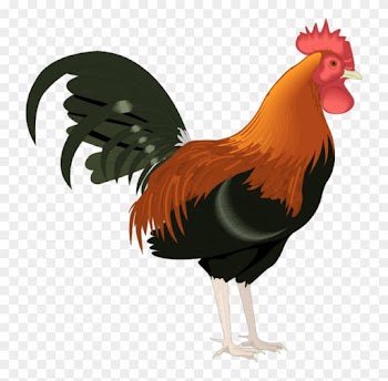 Permalink To Rooster Clipart Free Moose Clipart - Rooster Clipart