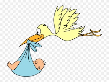 Permalink To Stork Clipart Camera Clipart - Permalink To Stork Clipart Camera Clipart
