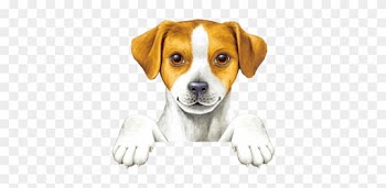 Perros Animados Png Sin Fondo - Dog Thank You Gifs