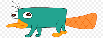 Perry the Platypus Phineas Flynn Ferb Fletcher - others png ...